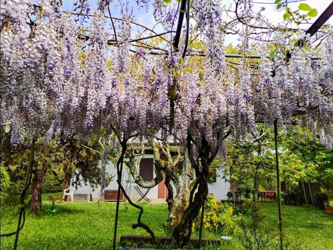 Casetta In Collina Sezze Zewnętrze zdjęcie